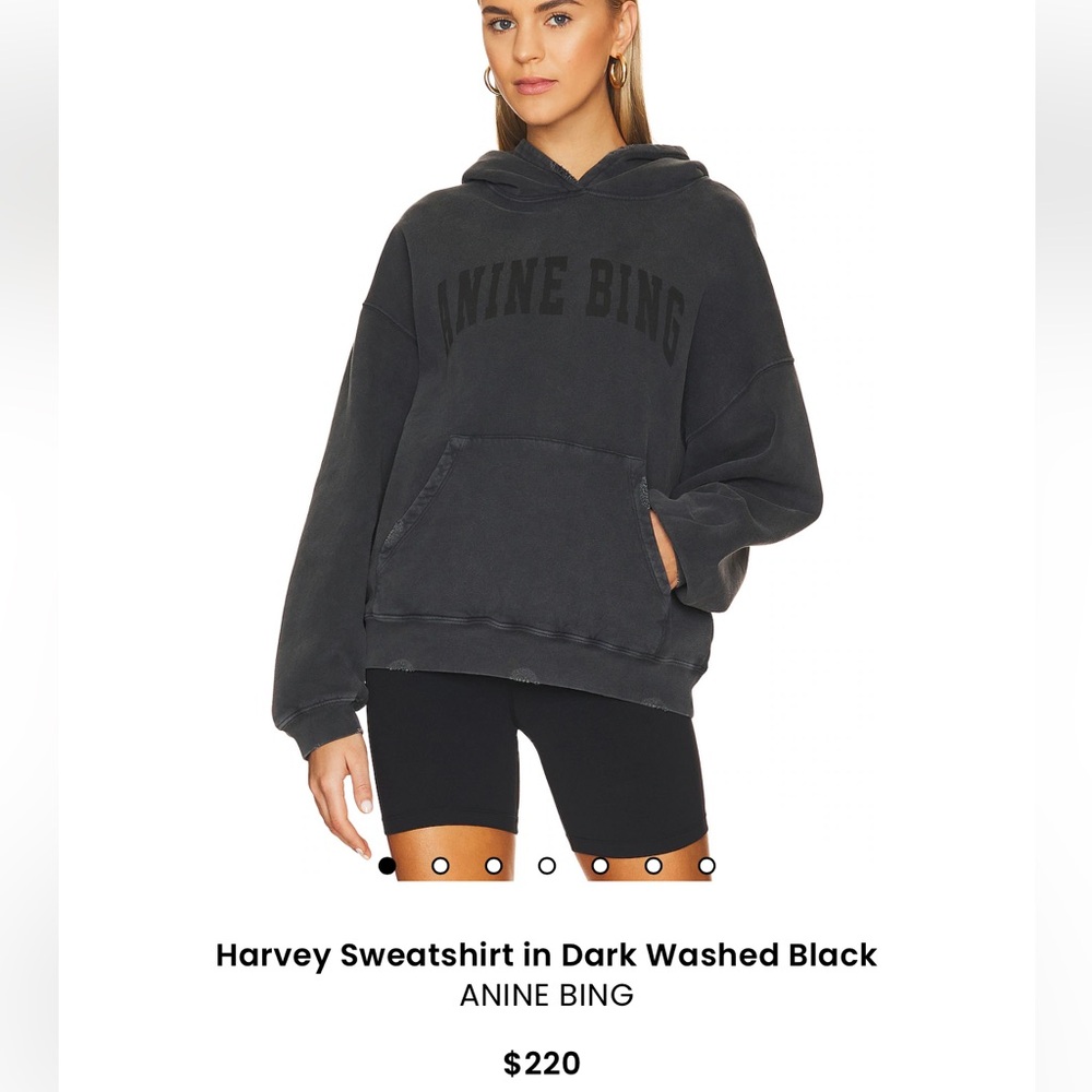Anine bing Harvey sweatshirt washed black